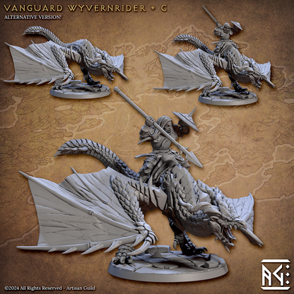 Vanguard Wyvernriders